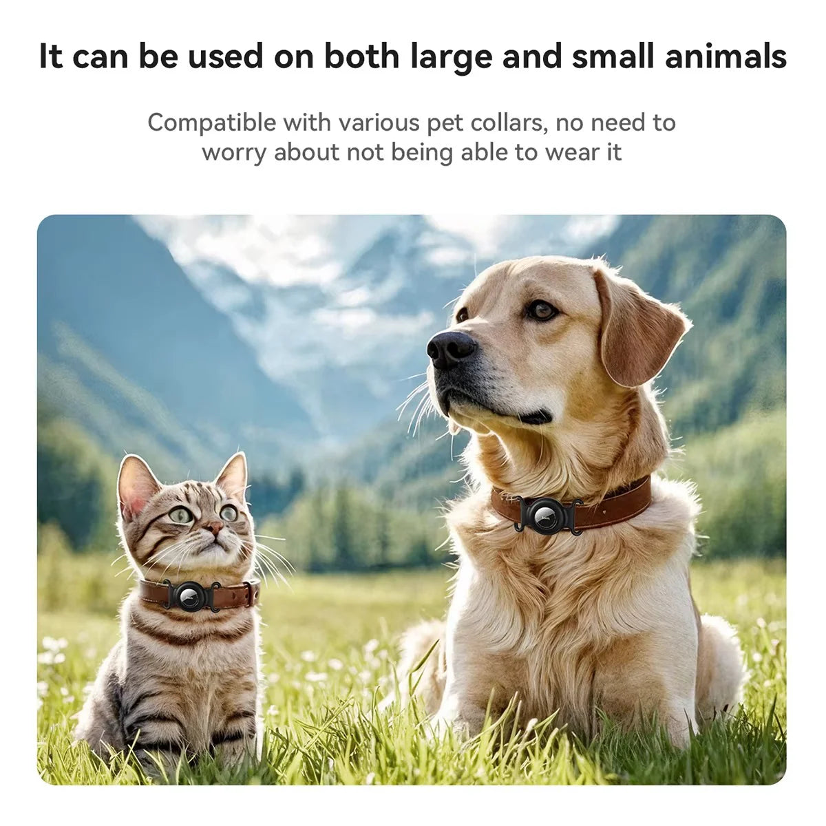 GPS Pet Tracker with No Monthly Fee – Compatible with Apple Find My for Dogs and Cats
